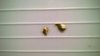 WP_20161031_019.jpg