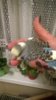 WP_20161031_014.jpg