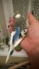 WP_20161031_018.jpg