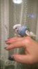 WP_20161031_021.jpg