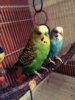 IMG_20161101_200051_701.jpg