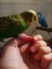 IMG_20161030_221934_875.jpg