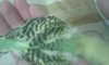 20161103_230339.jpg
