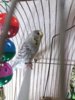 20161104_224539.jpg