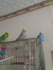 20161106_150021.jpg