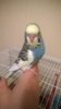 WP_20161106_019.jpg