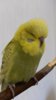 20161108_133912.jpg