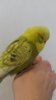 20161108_134127.jpg