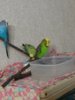 20161110_201146.jpg