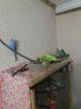 20161110_201329.jpg