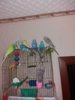 20161110_213716.jpg