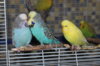 IMG_7269.JPG