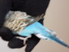 DSCN5361.JPG