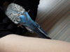DSCN5363.JPG