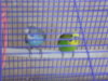 DSCN5367.JPG
