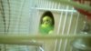 WP_20161108_006.jpg