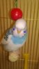 WP_20161112_007.jpg