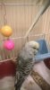 WP_20161106_047.jpg