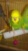 WP_20161112_026.jpg