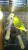 WP_20161015_020.jpg