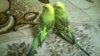 WP_20161113_003.jpg