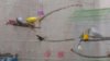 tmp_8215-20161110_2133442105114700.jpg