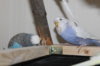IMG_7362.JPG