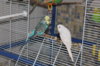IMG_7365.JPG