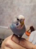 20161116_065227.jpg