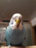 20161116_065342.jpg
