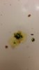 20161117_064233.jpg