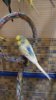IMG-20161115-WA0054.jpg