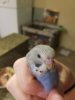 20161117_173819.jpg