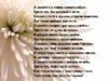 images_6962.jpg