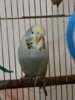 20161120_173348.jpg