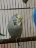 20161120_173352.jpg