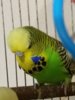 20161120_173424.jpg