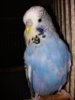 20161120_173841.jpg