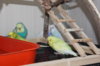 IMG_7538.JPG