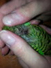 20161123_225302.jpg