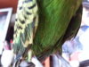 20161124_140229.jpg