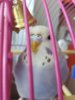 20161122_121511.jpg
