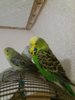 20161126_200653.jpg