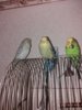 20161126_200728.jpg