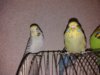 20161126_200737.jpg