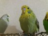20161126_200756.jpg