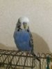 20161126_200834.jpg