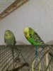 20161126_200916.jpg