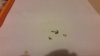 20161126_202126.jpg