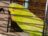 DSCN8768.JPG